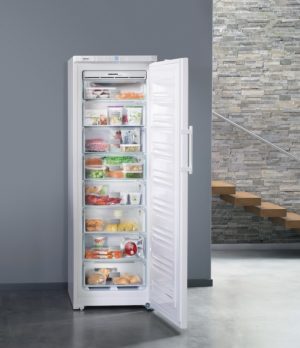 Liebherr GNP3013 Frost Free Freezer