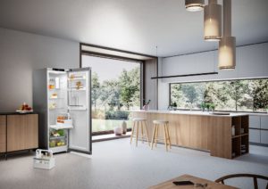 Liebherr RDsfe5220 Freestanding Fridge - Image 4