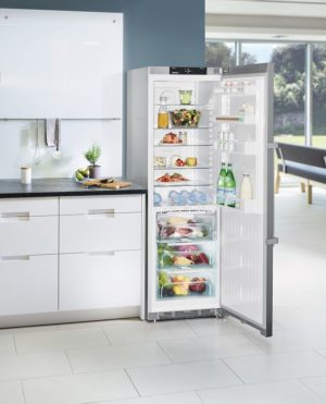 Liebherr KBef4330 Freestanding Fridge - Image 3