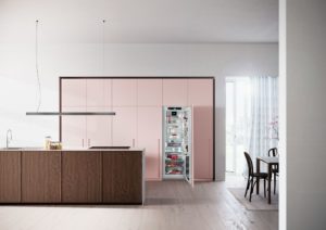 Liebherr IRBd5180 Integrated Fridge  with BioFresh, HydroBreeze and InfinitySpring - Image 3