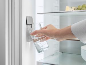 Liebherr IRBd5180 Integrated Fridge  with BioFresh, HydroBreeze and InfinitySpring - Image 7